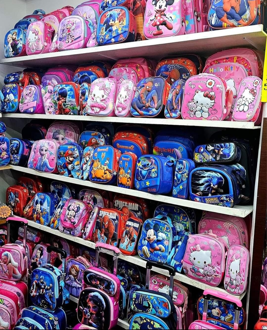 Imagen de categoria Escolar